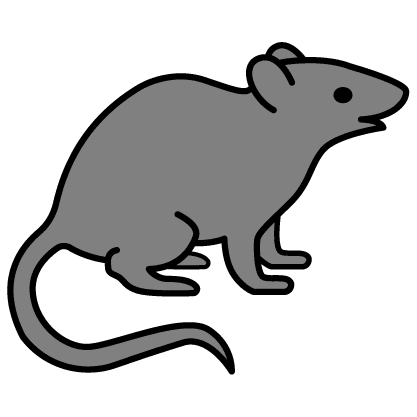 Ratten